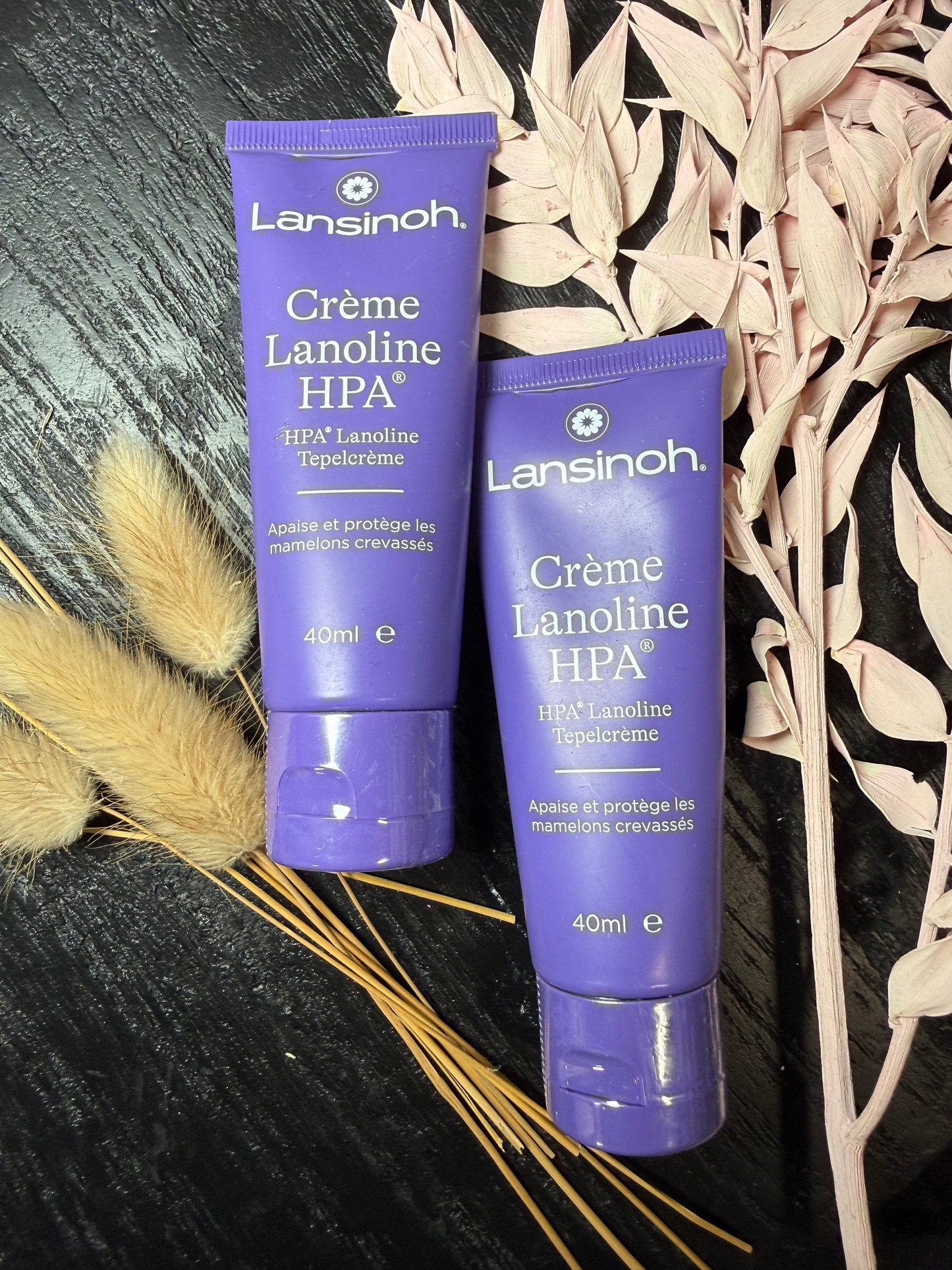 LANSINOH CREME LANOLINE