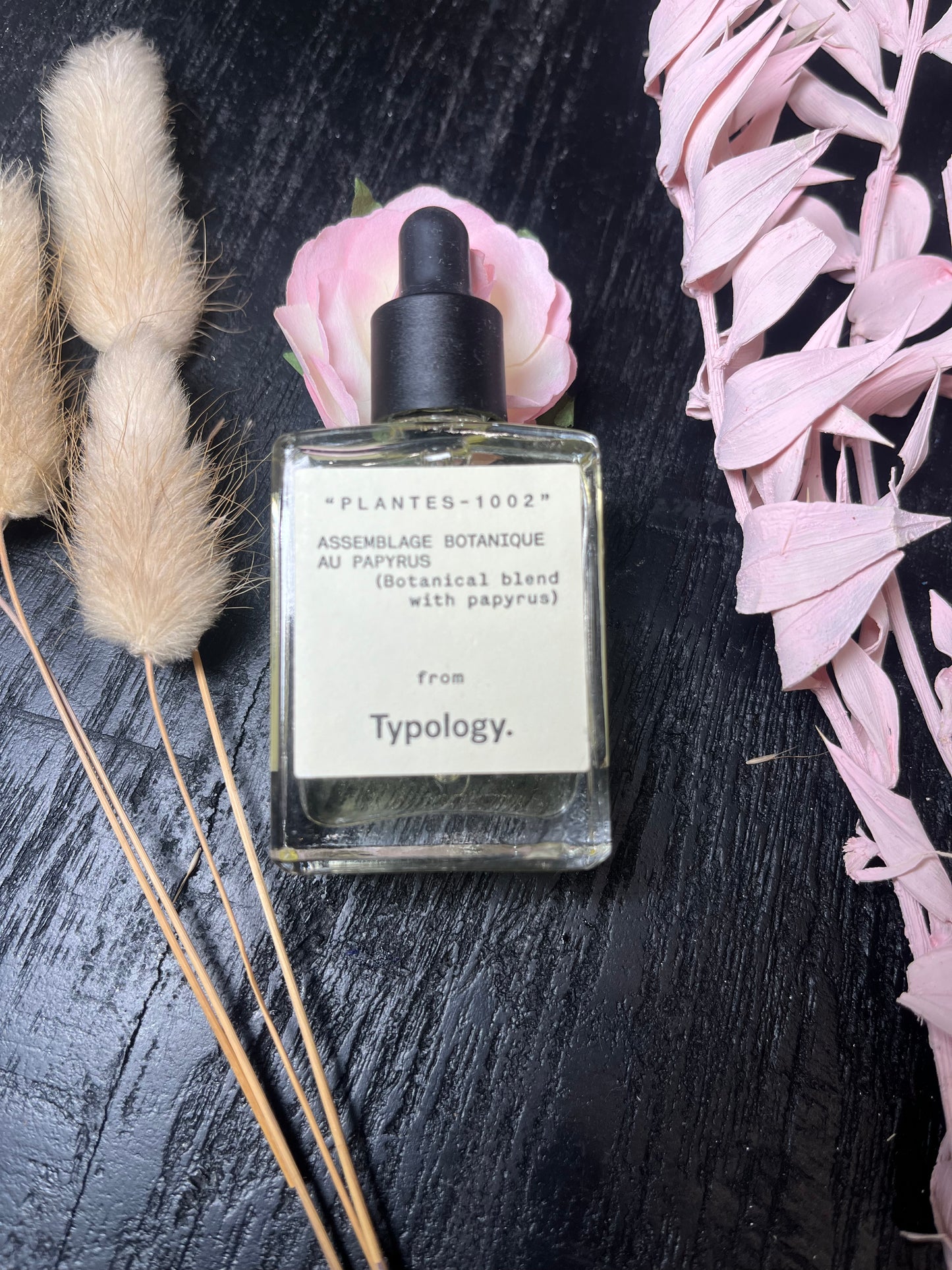 TYPOLOGY ASSEMBLAGE BOTANIQUE AU PAPYRUS